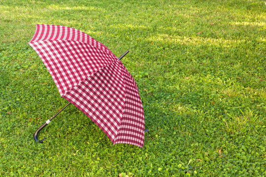 Open Purple Umbrella on the Grass