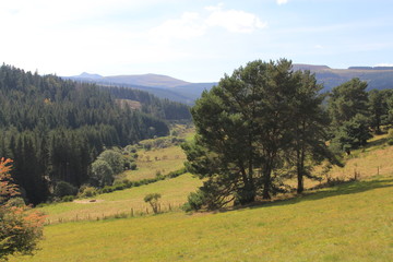 Fototapeta na wymiar haute vallée de la Monne, Auvergne