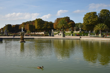 Grand bassin du jardin du Luxembourg à Paris en automne, France