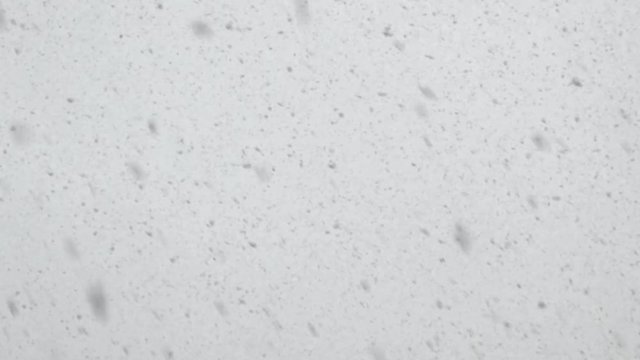 Heavy snowfall - Falling snow