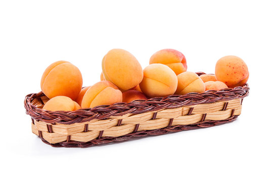 Several of harvested apricots in basket on white background..