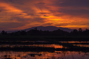sunset and sunrise time, nature background and empty area for text, feeling love or romantic background in nature, sky background with cloud, nature background in sunset or sunrise time.