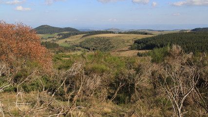 paysage auvergnat