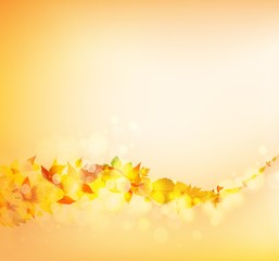 Thanksgiving falling leaves background