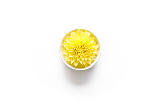 Gelbe Schmuckdahlie - essbare Bl&uuml;te