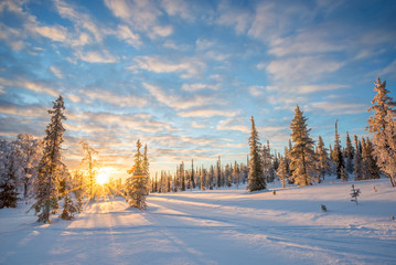 Verschneite Landschaft bei Sonnenuntergang, gefrorene Bäume im Winter in Saariselkä, Lappland, Finnland. Hintergrund für Weihnachten und Feiertage