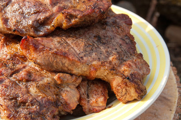 Close up view of juicy pork steak cooked on an open flame grill on big white plate..