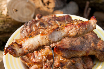 Close up view of juicy pork steak on fork cooked on an open flame grill on big white plate..