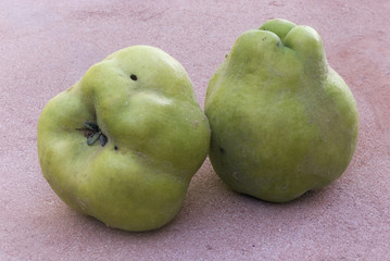 Ripe quince fruit (Cydonia oblunga)