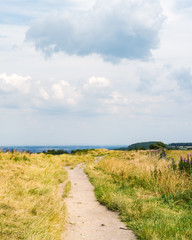 Dirt track leading through English countryside near Leeds. Otley Chevin Forest Park is located in the Wharfe Valley and overlooks the market town of Otley.