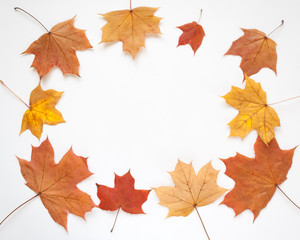 Naklejka na ściany i meble Autumn frame with leaves on white background