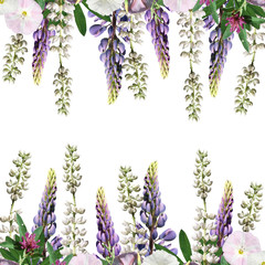 Fototapeta premium Beautiful floral background of lupine, clover and creepers 