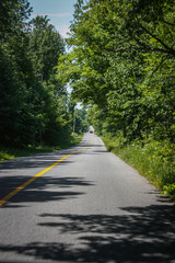 endless road in the forest