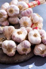New harvest french pink and violet garlic braid from Tarn