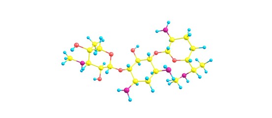Gentamicin molecular structure isolated on white