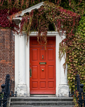 Red doorway covered by thick red and green vines. Dublin, Ireland, Europe.