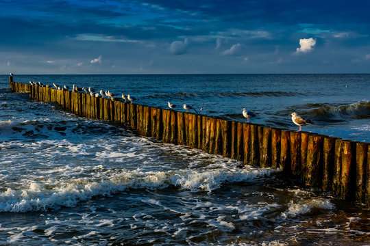 Fototapeta Ustronie Morskie,Morze Bałtyckie. 
