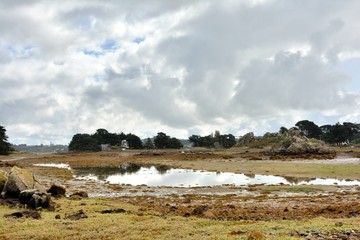 Fototapeta na wymiar Marée basse à Buguélès commune de Penvénan en Bretagne