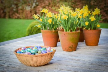 Easter concept. Chocolate Easter eggs in basket. Yellow narcissus flowers in terracotta pot in the background.