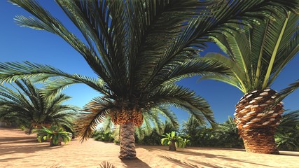Rich tropical vegetation on wilderness later in the day, 3d rendering