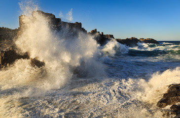 Bombo Swell