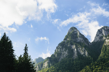 Low Angle View Of Bucegi Mountains Surrounded By Pine Tree Forest Against Cloudy Sky