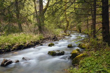 Long Exposure Of River In Ancient Forest Surrounded By Lush Vegetation During Autumn