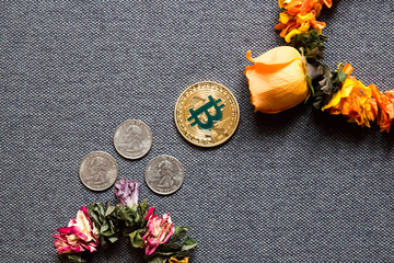 Bitcoin grows, the dollars fall