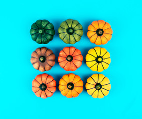 Decorative pumpkins on trendy blue background.