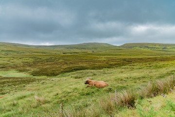 On the road, Isle of Skye, Scotland, United Kingdom