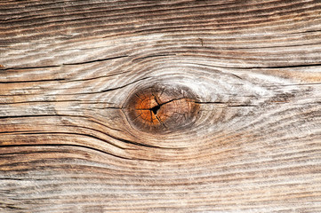 Old wooden texture as background, wood texture - 173947568