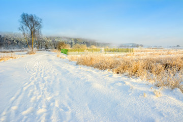 Scenic winter landscape with snow in countryside and blue sky, white christmas concept