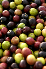 olives
