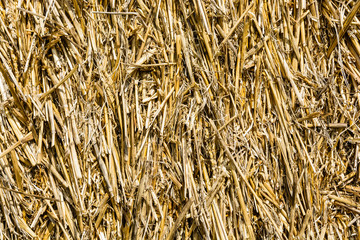 Close-up view of the wisps of straw compressed in a bale of straw.