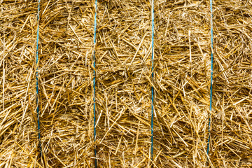 Close-up view of the wisps of straw compressed in a bale of straw bound with blue string.