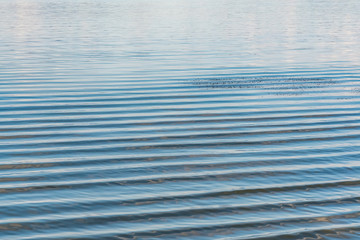 Lake Trasimeno in Umbria, with rippled water