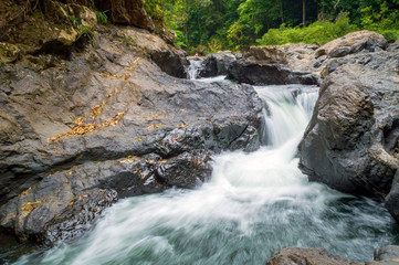 Stones in mountain river in forest.