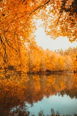 Foto op Plexiglas Zacht zicht op herfstlandschap, droge bomen, gouden lucht, boom weerspiegeld in meer, seizoenen veranderen, zonnige dag, herfstpark, herfstnatuur. © epic_images
