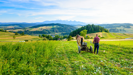 Farmer cultivates the soil with a horse in a mountainous area