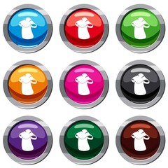 Boletus set 9 collection