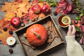 Warming cup of tea in hand with a decor of pumpkins, apples and autumn leaves on a wooden vintage board.
