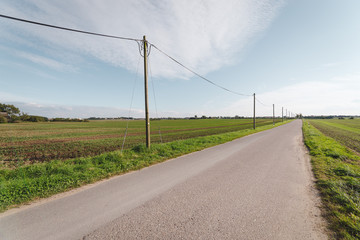 Fototapeta na wymiar road by field against sky