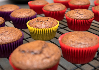 Chocolate cupcakes cooling on wire rack