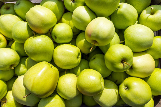 Blick in eine Kiste mit einem Haufen frisch gepflückten grünen Äpfeln