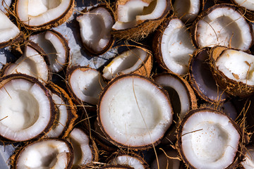 many dry coconut cut into half - obrazy, fototapety, plakaty