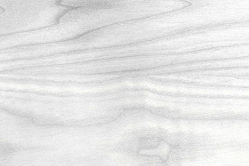 White texture of ash tree