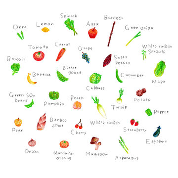 クレヨンで野菜と果物の一覧表