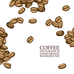 Vector background with hand drawn natural coffee beans. Natural vector pattern 