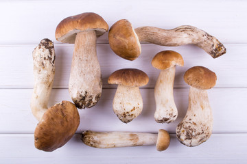 Composition with harvested wild porcini mushrooms on wooden background. Flat lay, top view