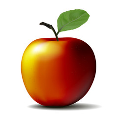 Red Apple with Green Leaves